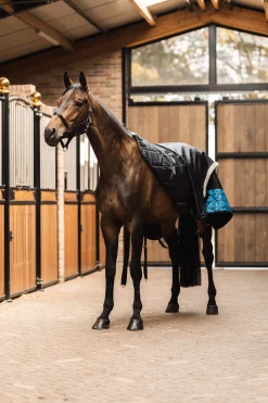 horze Quebec liner til walkerdekken, 150 gram CaviarBlack