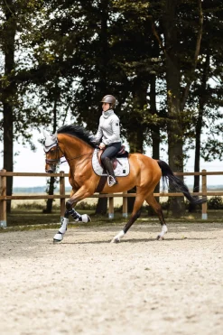 Clearance horze Smoky Twilight sprangsjabrak QuietGrey