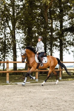 Clearance horze Smoky Twilight sprangsjabrak QuietGrey