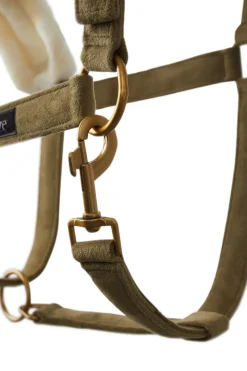 Clearance horze St. Moritz grime FirGreen