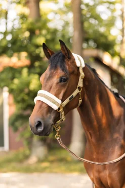 Clearance horze St. Moritz grime FirGreen