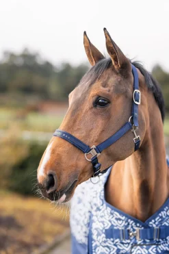 New horze Urban Vitality grime InsigniaBlue