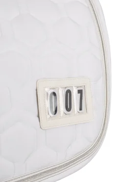 Hot horze Urban Vitality sprangsjabrak til stevne SnowWhite