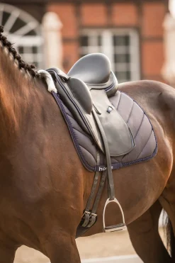 Best horze Victoria dressursjabrak InkBlue