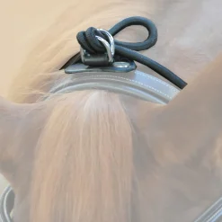 New kavalkade Bungie, elastisk Black