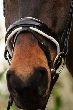 Discount kavalkade Charlotte dressurhodelag med pullback nesereim Black/White/Painted