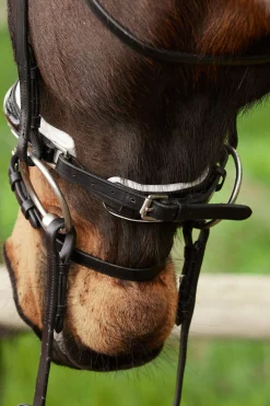 Discount kavalkade Charlotte dressurhodelag med pullback nesereim Black/White/Painted