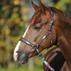 Best kavalkade Classic Raute grime Blue/Off-White/DarkRed