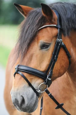 Discount kavalkade Clinchesse Bridle Black/Silver