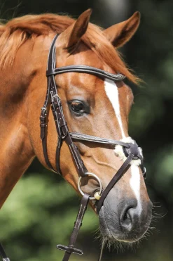 Best kavalkade Diandro Hodelag med kryssnesereim Black