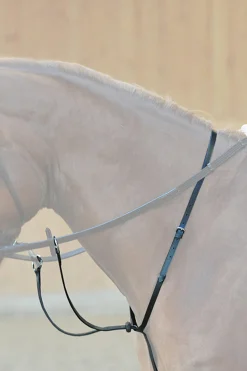 Hot kavalkade Ecoline martingal med stoppere Black