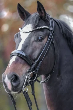 Outlet kavalkade Fleur Double Bridle Black/PatentGrey