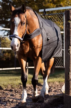 kavalkade Halifax 2-i-1 Utedekken og Walker-dekken 50g black/black-white