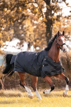 Best kavalkade Halifax 2-i-1 Utedekken og Walker-dekken 200g black/black-white