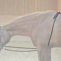 New kavalkade HO longesystem Black