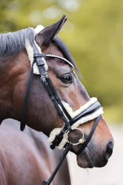 Hot kavalkade Joyce KavalSH4 Bridle Black