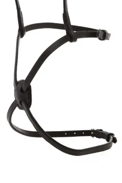 Best kavalkade kryssnesereim Brown