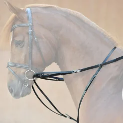 New kavalkade Market Harborough martingal Black