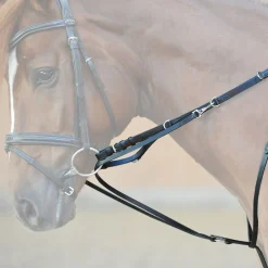 New kavalkade Market Harborough martingal Black