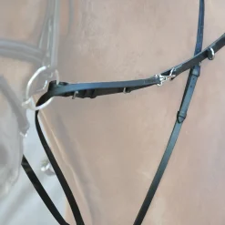 New kavalkade Market Harborough martingal Black