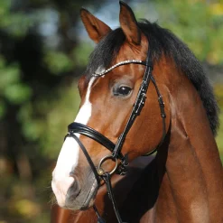 kavalkade Reyna KavalSH4 hodelag Black