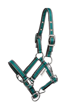 Hot kavalkade Shorty Grime for Shetlandsponnier petrol/black-silver