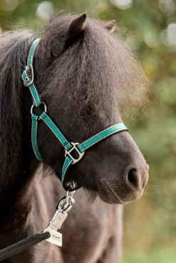 Hot kavalkade Shorty Grime for Shetlandsponnier petrol/black-silver