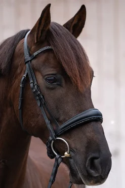 kavalkade Victoria Hodelag black/black