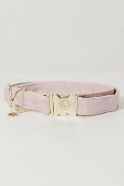 kentuckydogwear Kentucky Dogwear Velvet hundehalsbånd LightPink