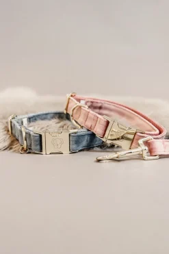 kentuckydogwear Kentucky Dogwear Velvet hundehalsbånd LightPink