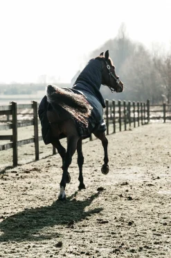 Outlet kentucky Horsewear All Weather Waterproof Classic utedekken, 50 gram DB/AB