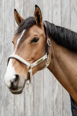 Discount kentucky Horsewear anatomisk nylongrime Beige