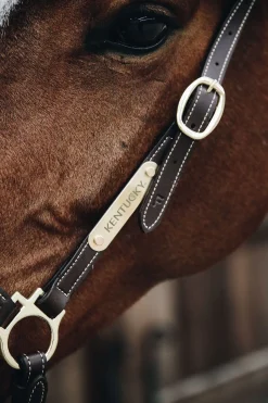 Online kentucky Horsewear lærgrime for stell Brown