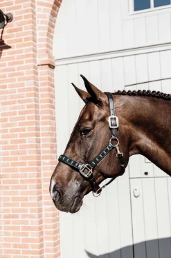 New kentucky Horsewear Pearls grime Black