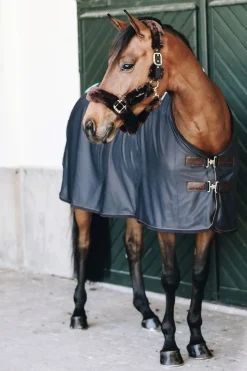 Outlet kentucky Horsewear Recuptex magnetisk dekken DB/AB