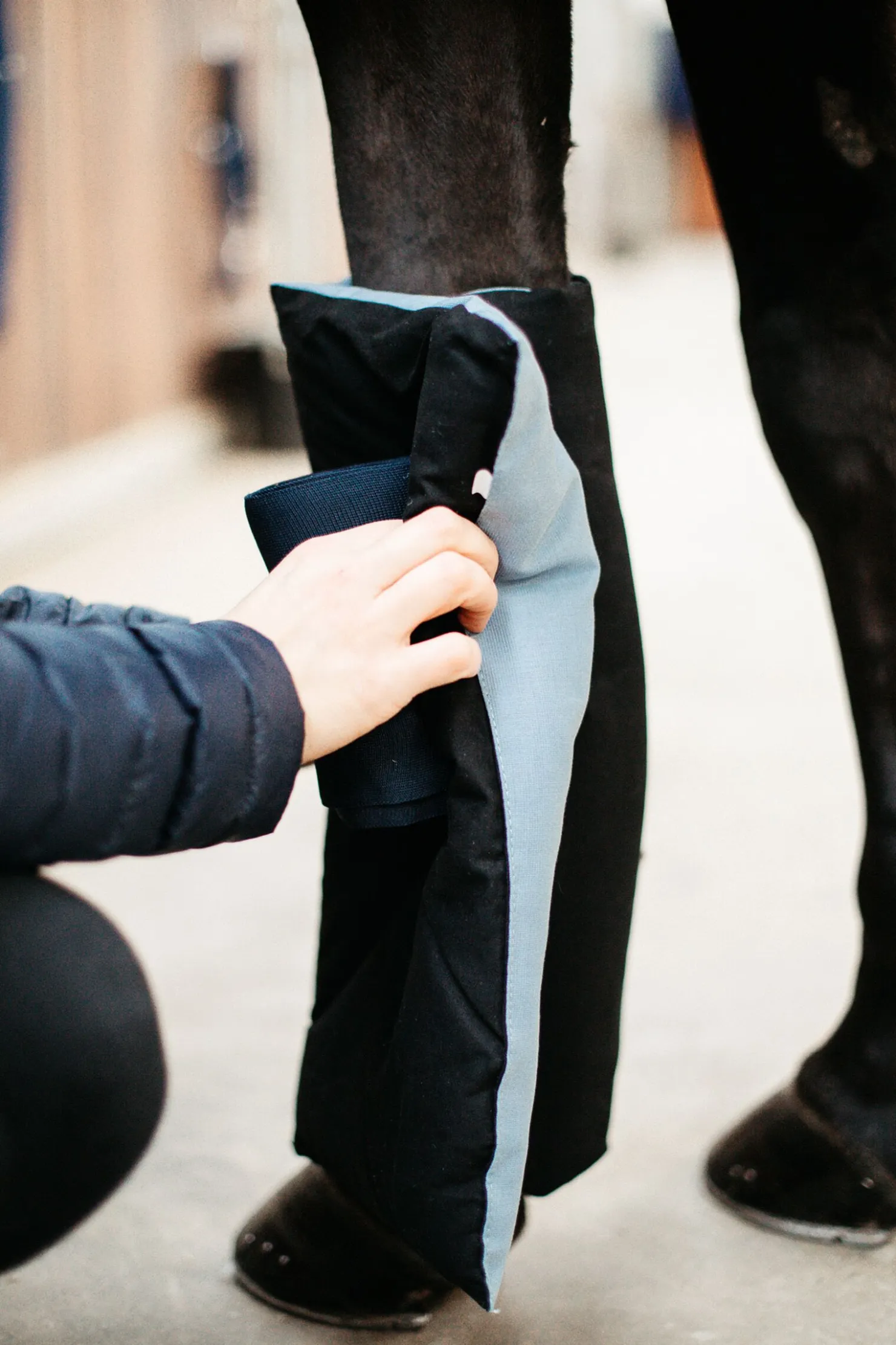 New kentucky Horsewear Recuptex/Texishield bandasje Black