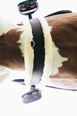 Hot kentucky Horsewear saueskinn gjord Brown