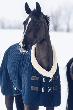 Clearance kentucky Horsewear showdekken, 160 gram DB/AB