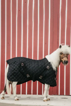 Online kentucky Horsewear stalldekken, 400 gram Black