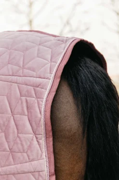 Sale kentucky Horsewear  Velvet stevnedekken, 160 gram RaptureRosePink