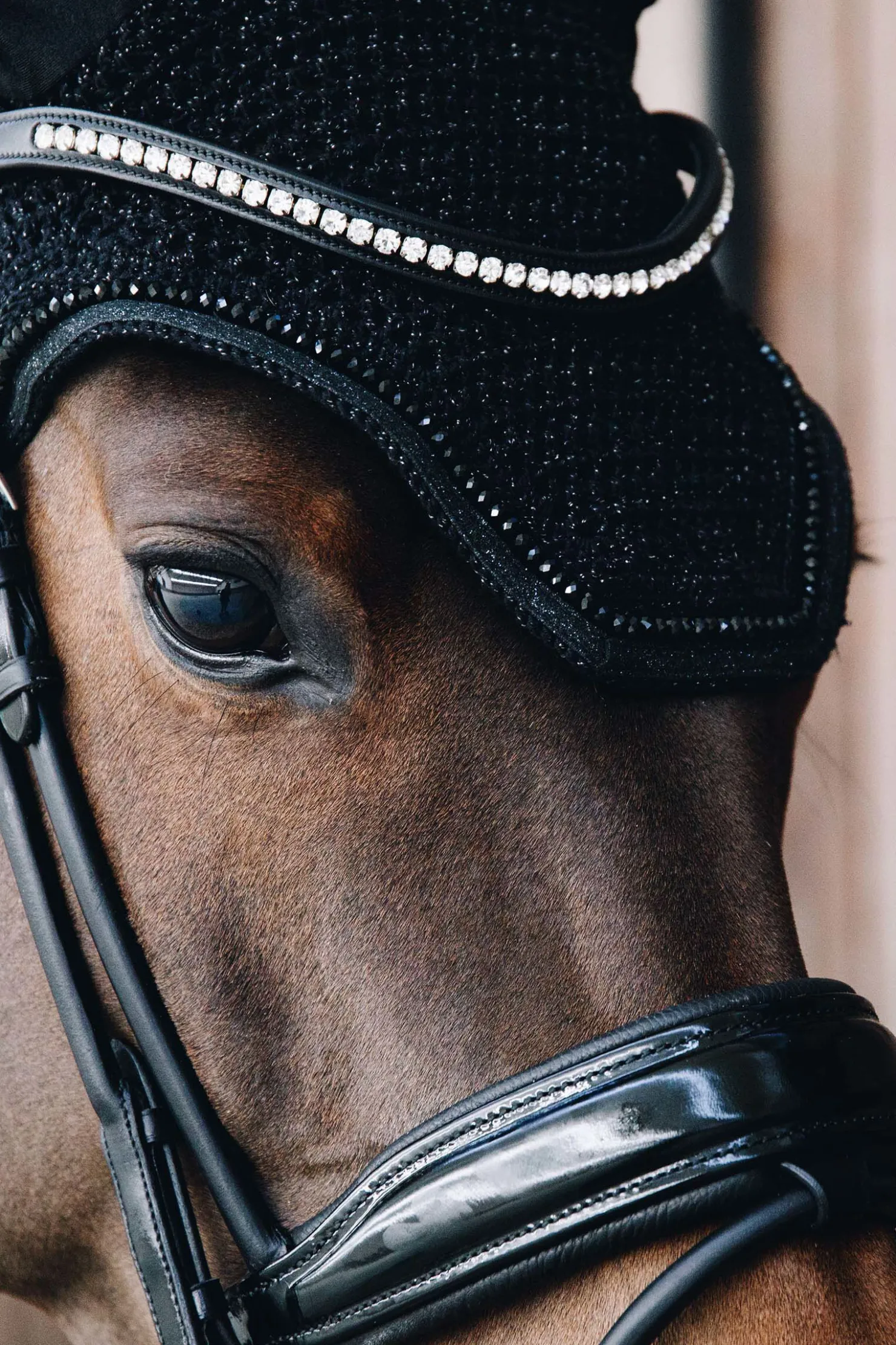 Outlet kentucky Horsewear Wellington ørehette med glitter Black