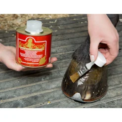 Sale kevinbacon Kevin Bacon Ikkespesifisert