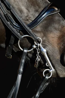 Best kieffer Ultrasoft® Amy kandarhodelag Black