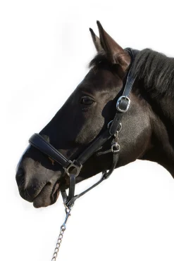 Online kieffer Ultrasoft® Deluxe lærgrime Black