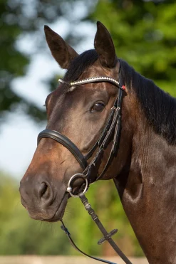 Hot kieffer Ultrasoft® Sue hodelag Black