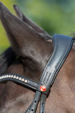 Hot kieffer Ultrasoft® Sue hodelag Black