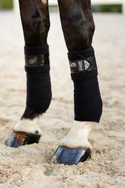 Outlet lemieux Adour-bandasjer Black