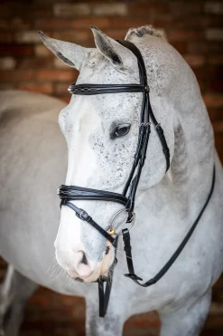 Discount lemieux Competition Flash hodelag Black