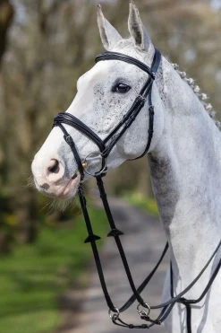 Discount lemieux Competition Flash hodelag Black