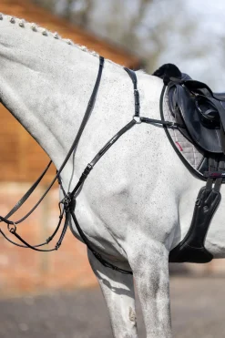 Clearance lemieux Fortøy med avtakbar Martingal Black